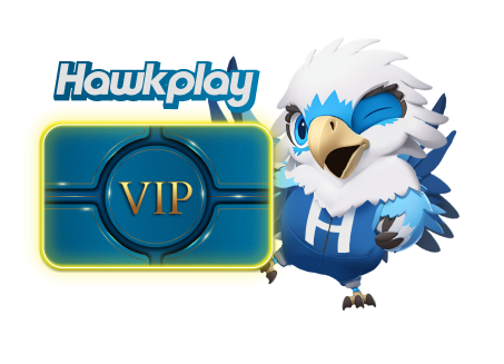 HawkPlay